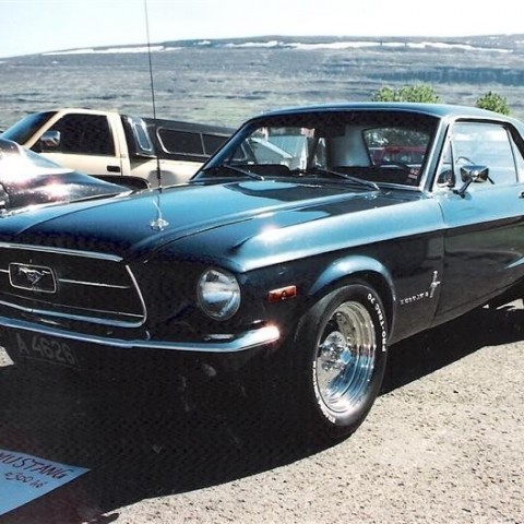 crop-17.06.1991_021__medium_