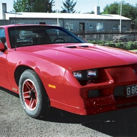 crop-17.06.1991_026__medium_