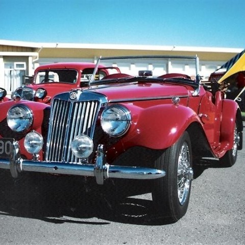 crop-17.06.1991_045__medium_