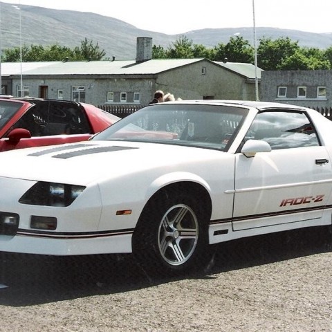 crop-17.06.1992_021__large_