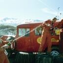 crop-verdl01_roll3077