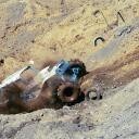 crop-1siddi01_roll2066