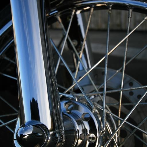 crop-img_4396__large_