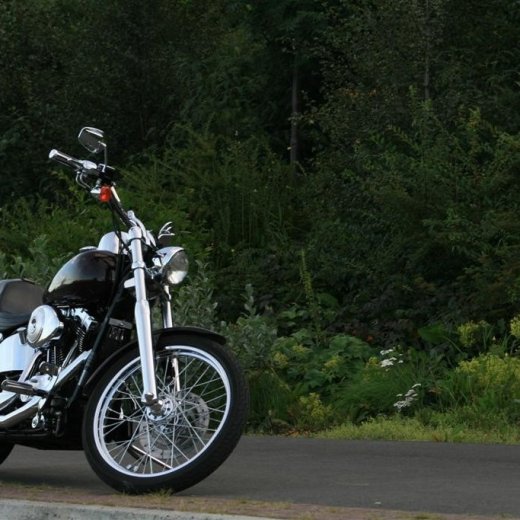 crop-img_4478__large_