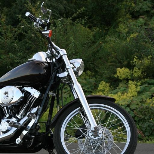 crop-img_4480__large_