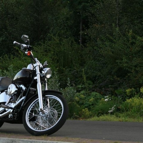 crop-img_4478__large_