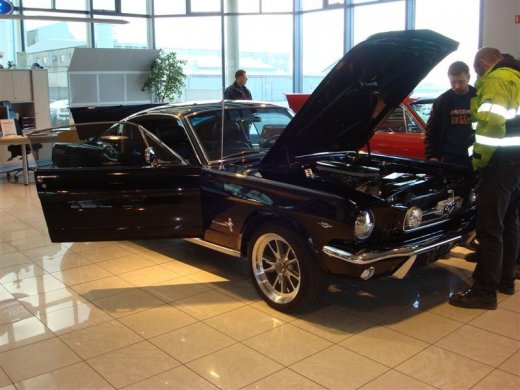 17.04.2010_237__medium_