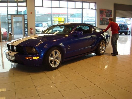 17.04.2010_243__medium_