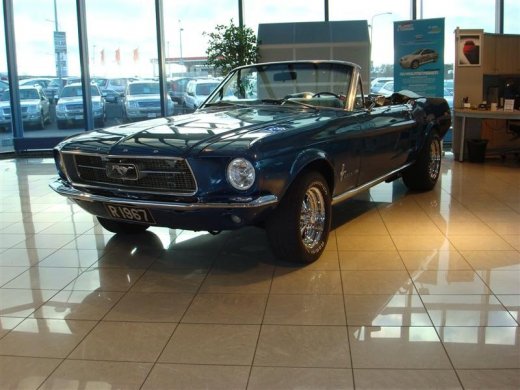 17.04.2010_245__medium_