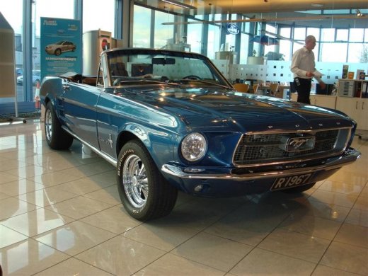 17.04.2010_246__medium_