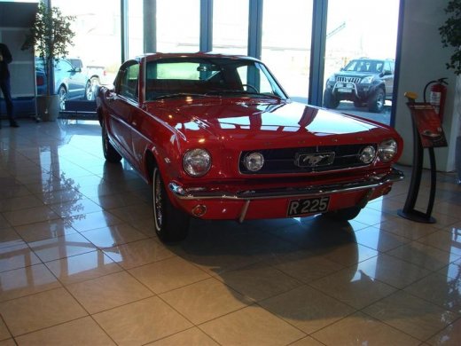 17.04.2010_303__medium_