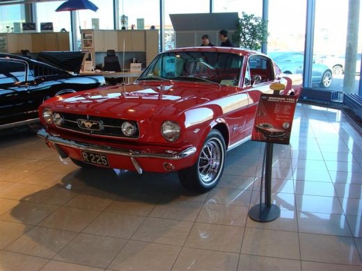 17.04.2010_305__medium_