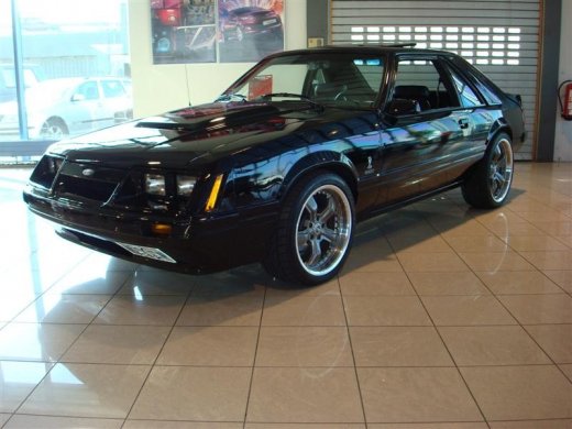 17.04.2010_308__medium_