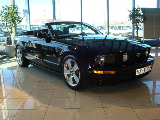 17.04.2010_310__medium_