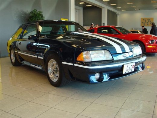 17.04.2010_328__medium_