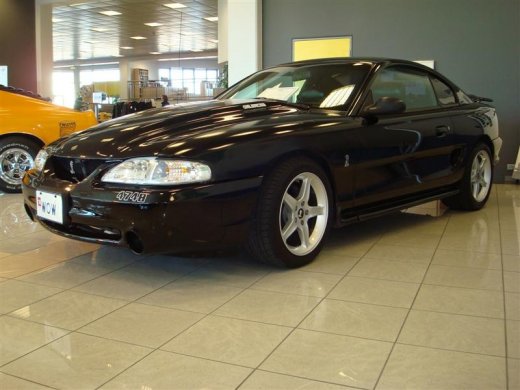 17.04.2010_334__medium_