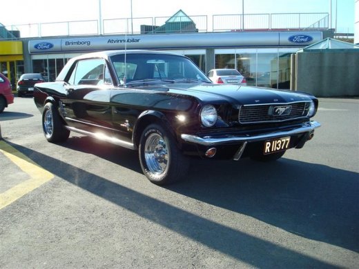 17.04.2010_353__medium_