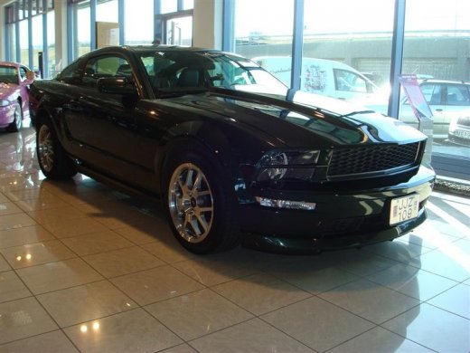 17.04.2010_358__medium_