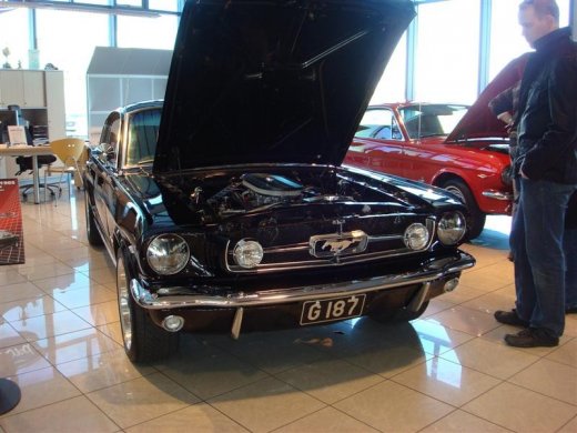 17.04.2010_369__medium_