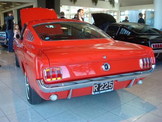 17.04.2010_371__medium_