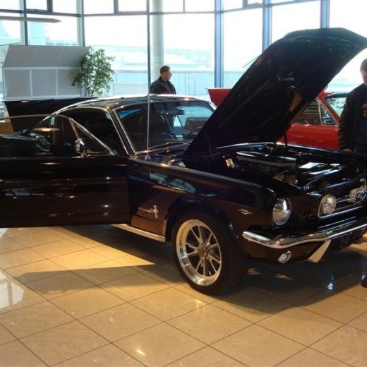 crop-17.04.2010_237__medium_