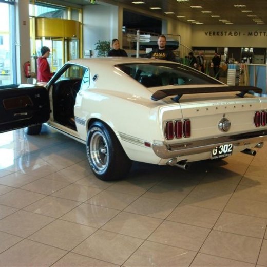 crop-17.04.2010_238__medium_