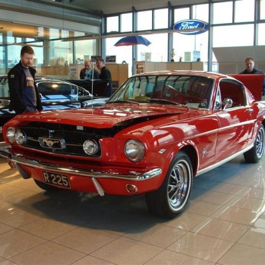 crop-17.04.2010_239__medium_