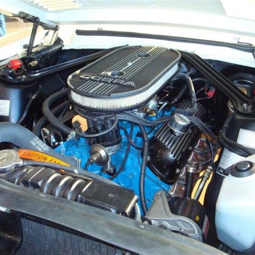 crop-17.04.2010_261__medium_