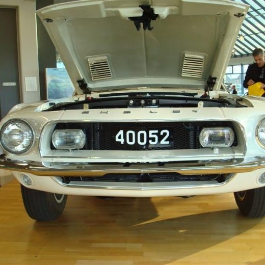 crop-17.04.2010_262__medium_