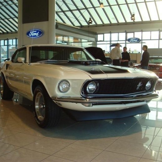 crop-17.04.2010_263__medium_