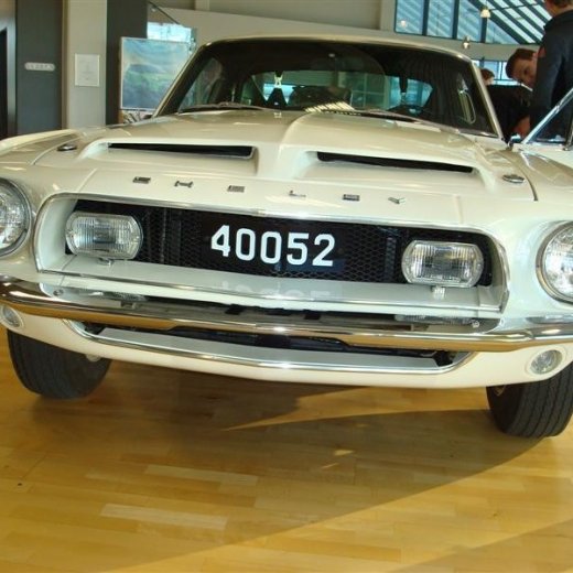 crop-17.04.2010_272__medium_