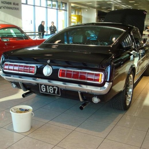 crop-17.04.2010_276__medium_