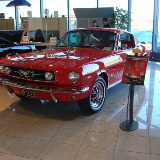 crop-17.04.2010_305__medium_