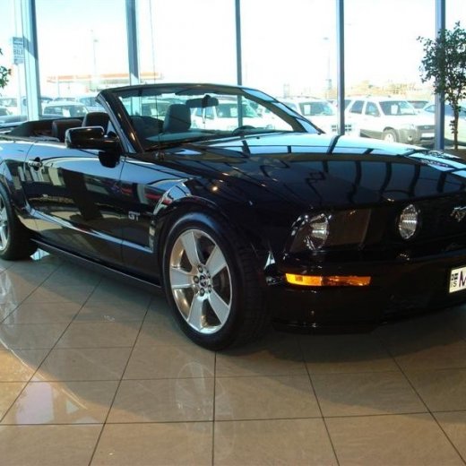 crop-17.04.2010_310__medium_