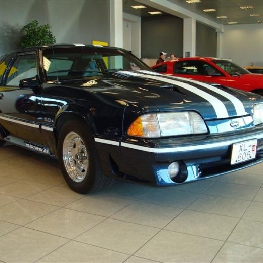 crop-17.04.2010_328__medium_