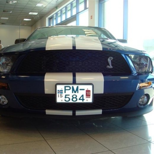 crop-17.04.2010_330__medium_