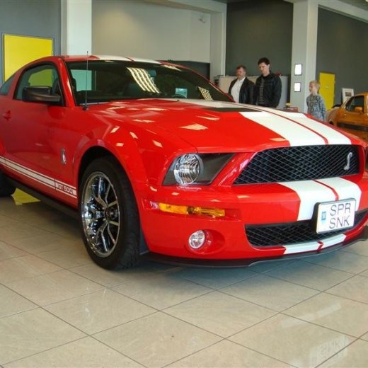 crop-17.04.2010_332__medium_