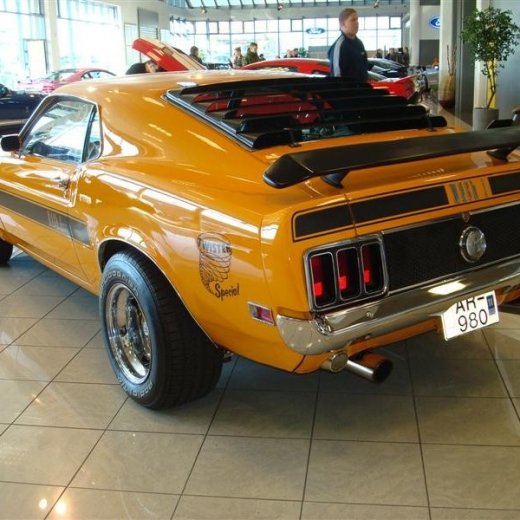 crop-17.04.2010_338__medium_