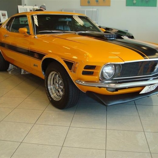 crop-17.04.2010_340__medium_