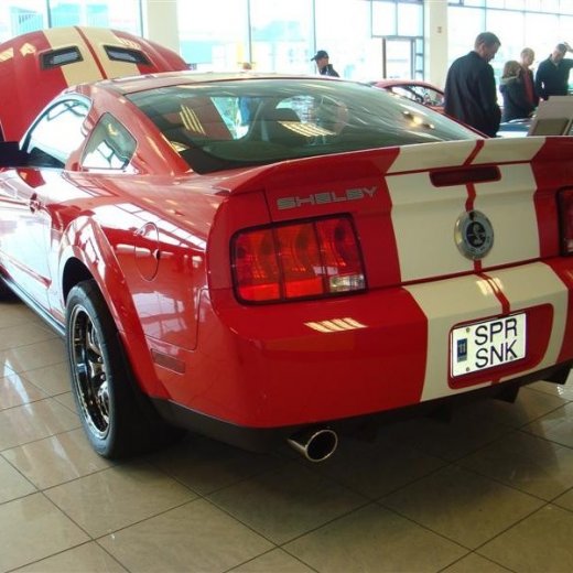 crop-17.04.2010_343__medium_