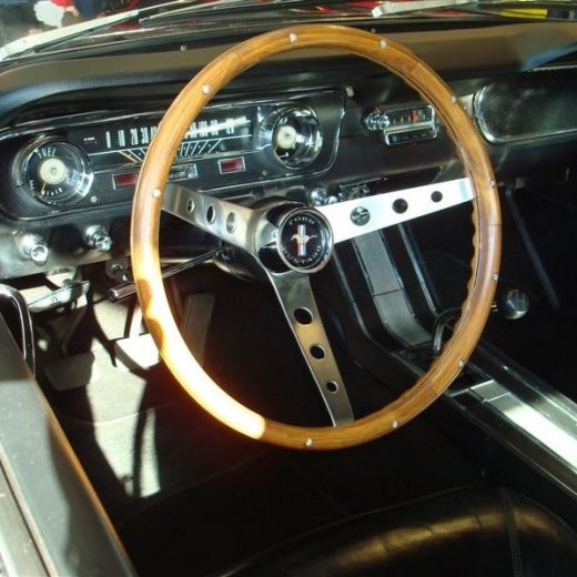 crop-17.04.2010_350__medium_