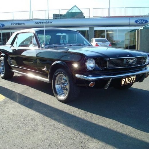 crop-17.04.2010_353__medium_