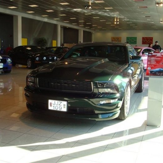 crop-17.04.2010_359__medium_