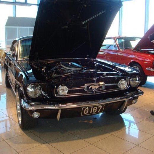 crop-17.04.2010_369__medium_