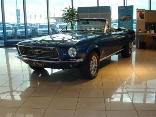 17.04.2010_245__medium_