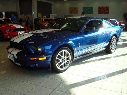 17.04.2010_331__medium_