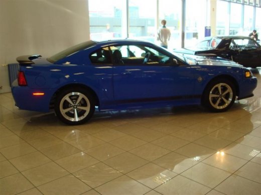 17.04.2010_335__medium_