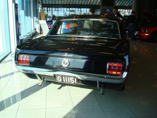 17.04.2010_339__medium_