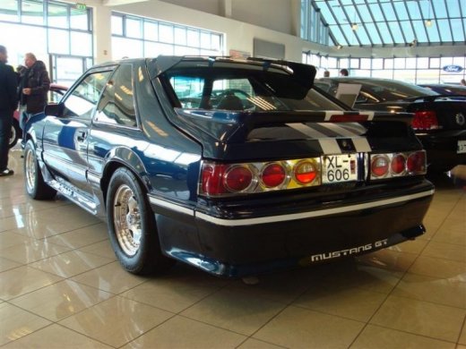 17.04.2010_344__medium_