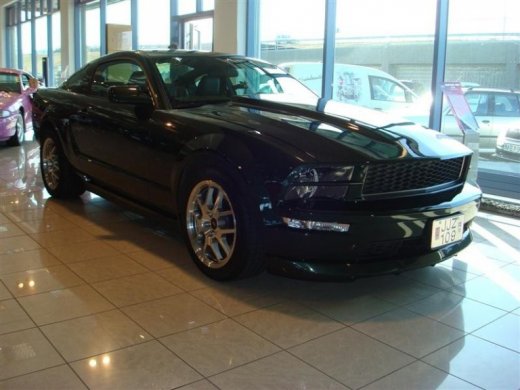 17.04.2010_358__medium_